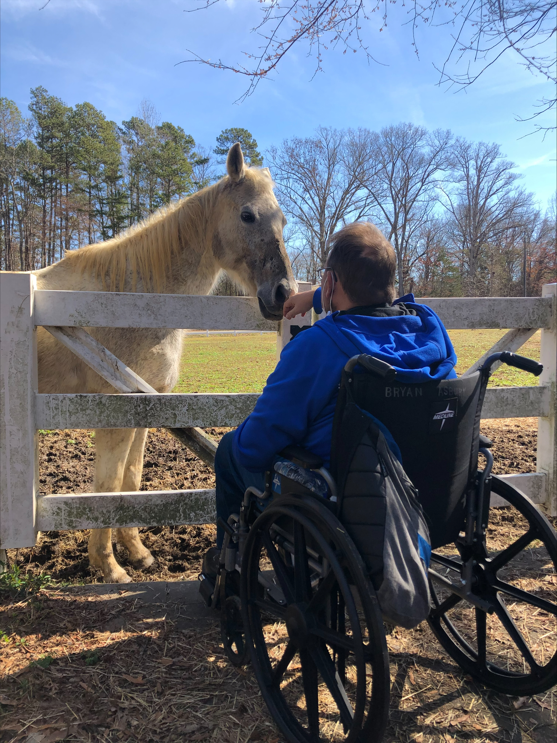 man in wheelchair petting a gray horse